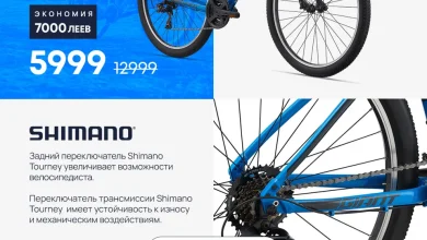 Photo of Уникальные особенности синих велосипедов